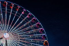 IMG_0050
