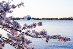 IMG_0057